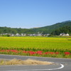 IMGP0060
