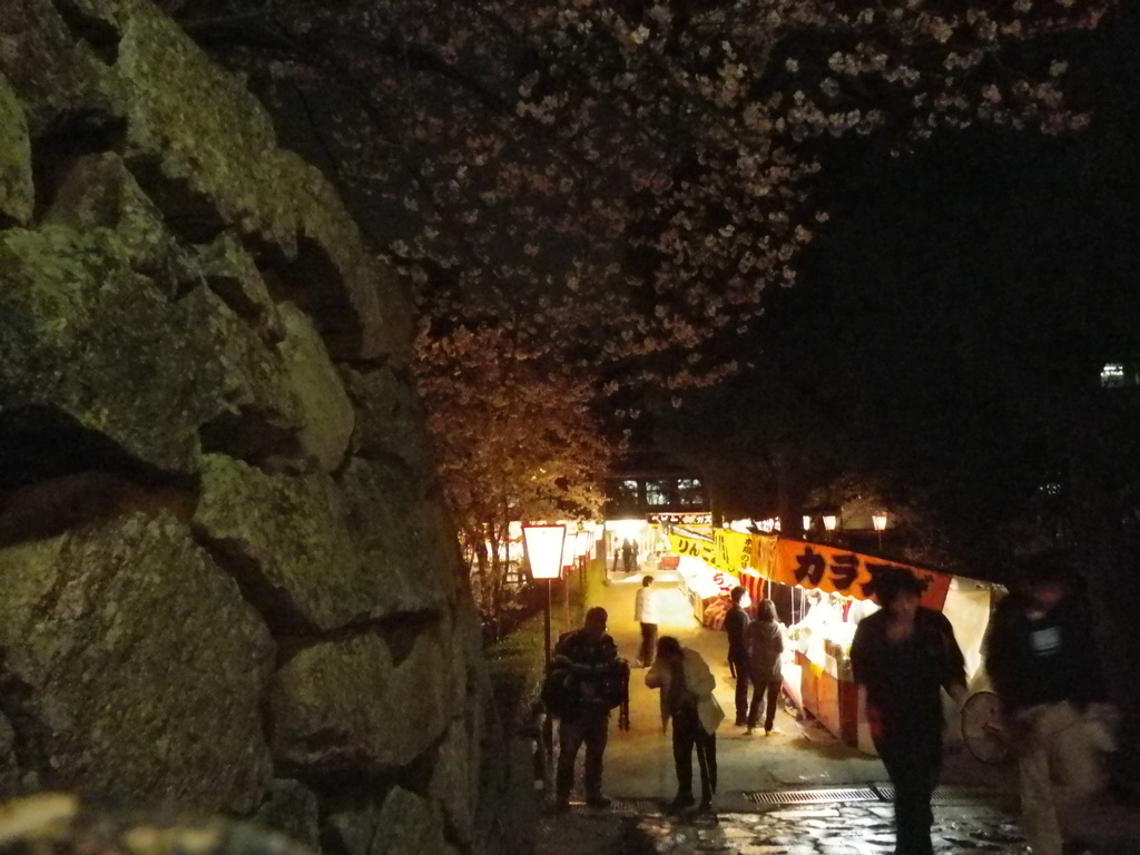 IMGP0314