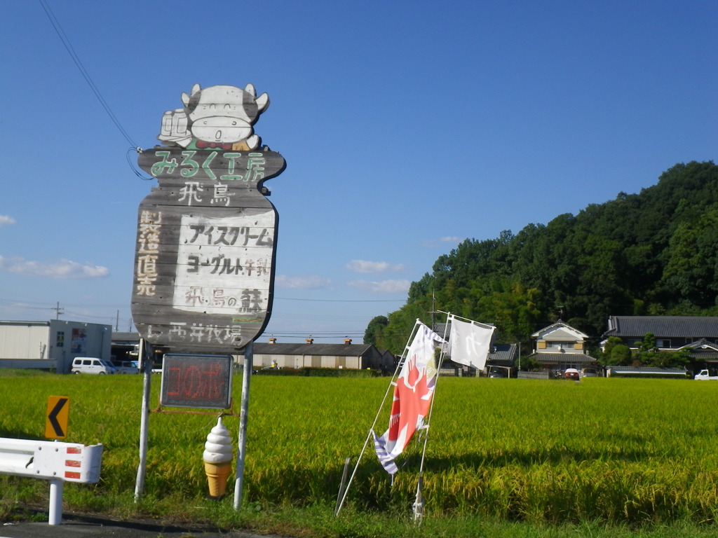 IMGP0063