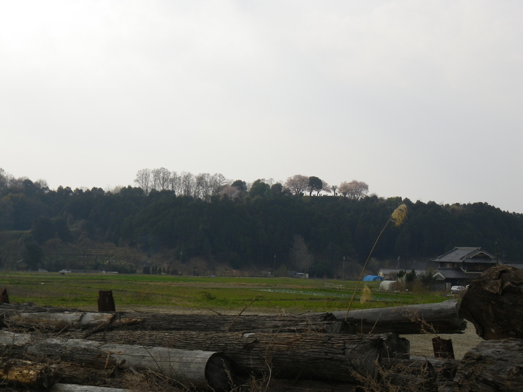 IMGP0293