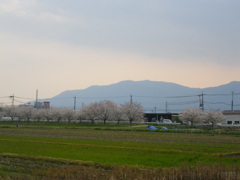 IMGP0306