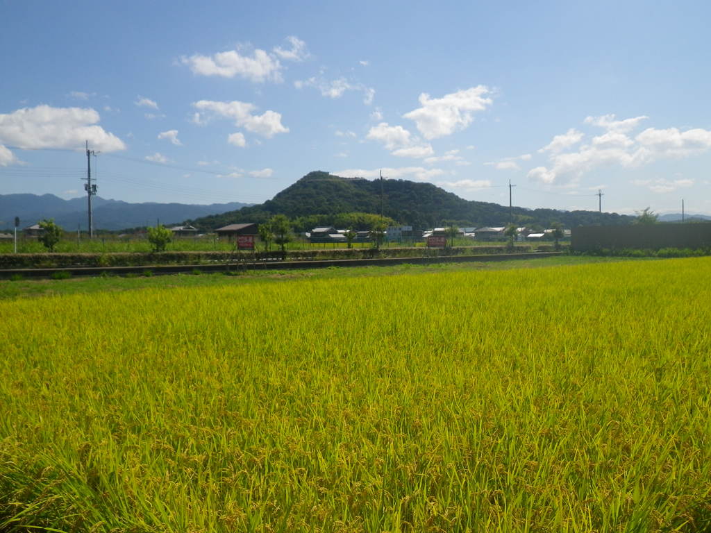 IMGP0025