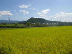 IMGP0025