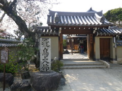 IMGP0265