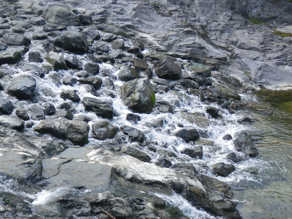 IMGP0247