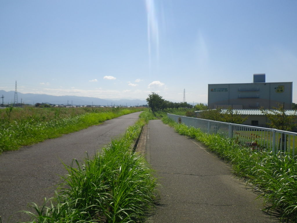 IMGP0013