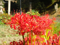IMGP0064