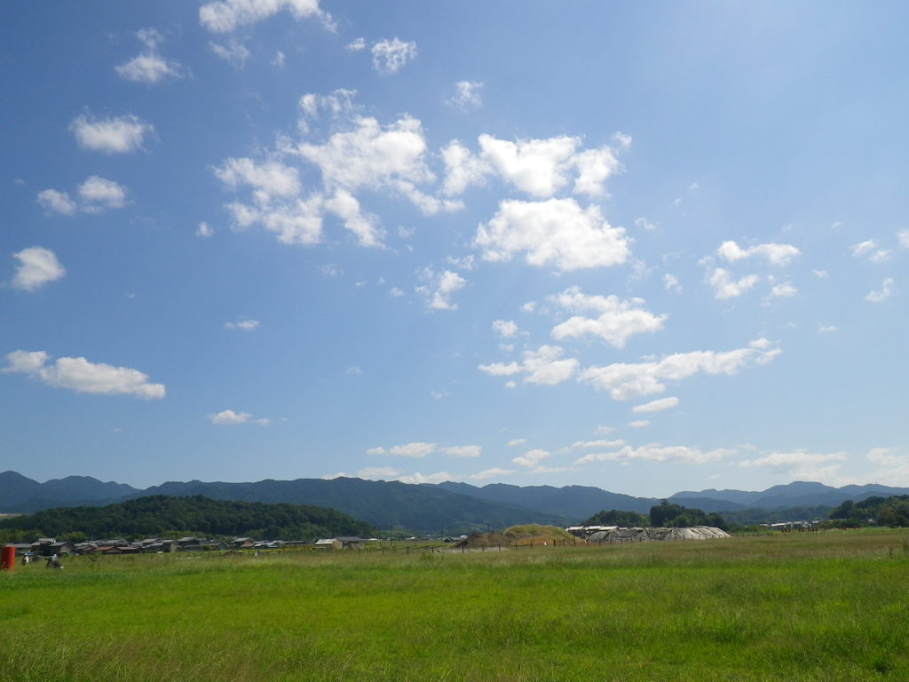 IMGP0033