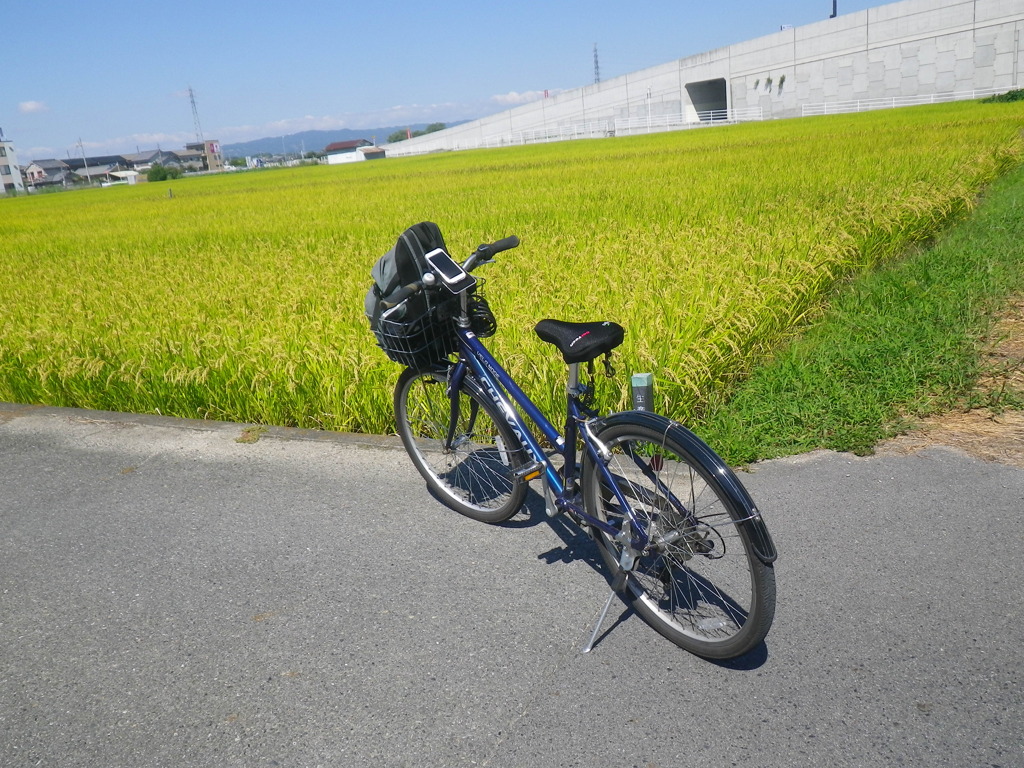 IMGP0014