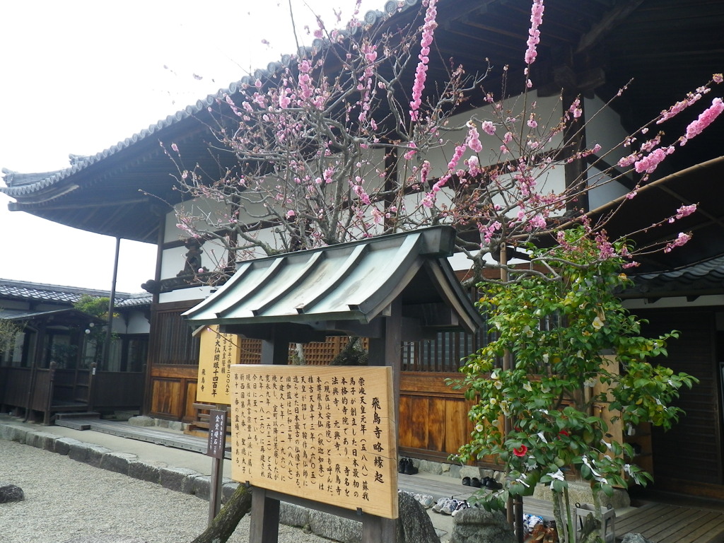 IMGP0271