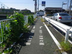 IMGP0003