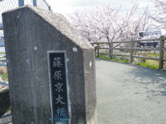 IMGP0238