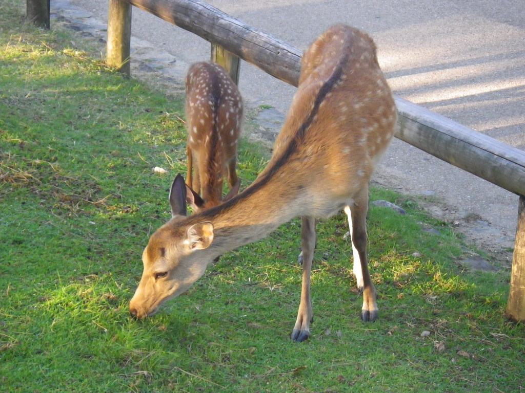 IMGP2628