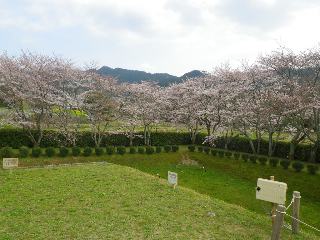 IMGP0280