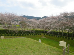 IMGP0280
