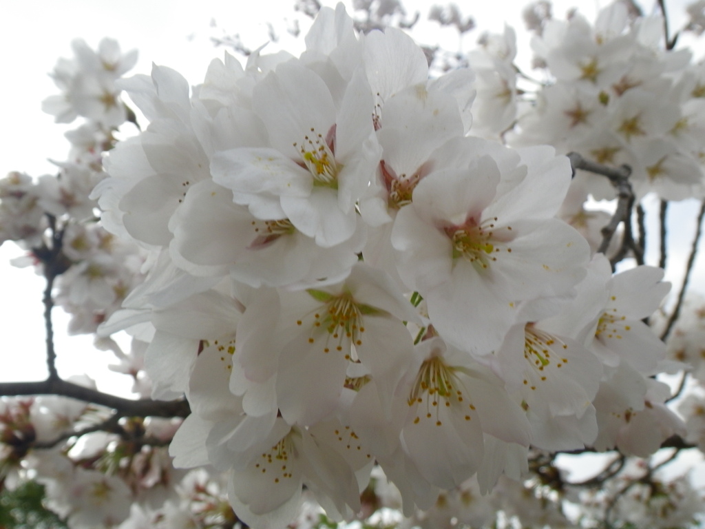 IMGP0289