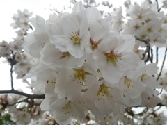 IMGP0289