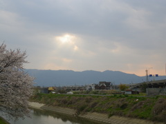 IMGP0308