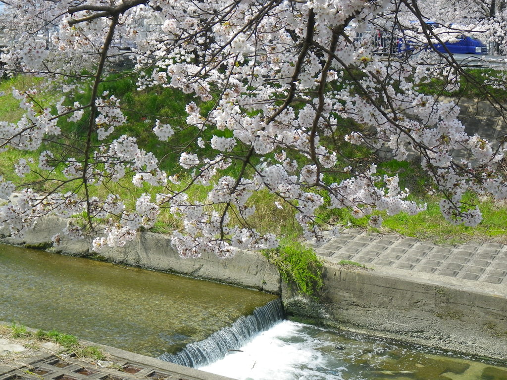 IMGP0230