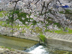 IMGP0230