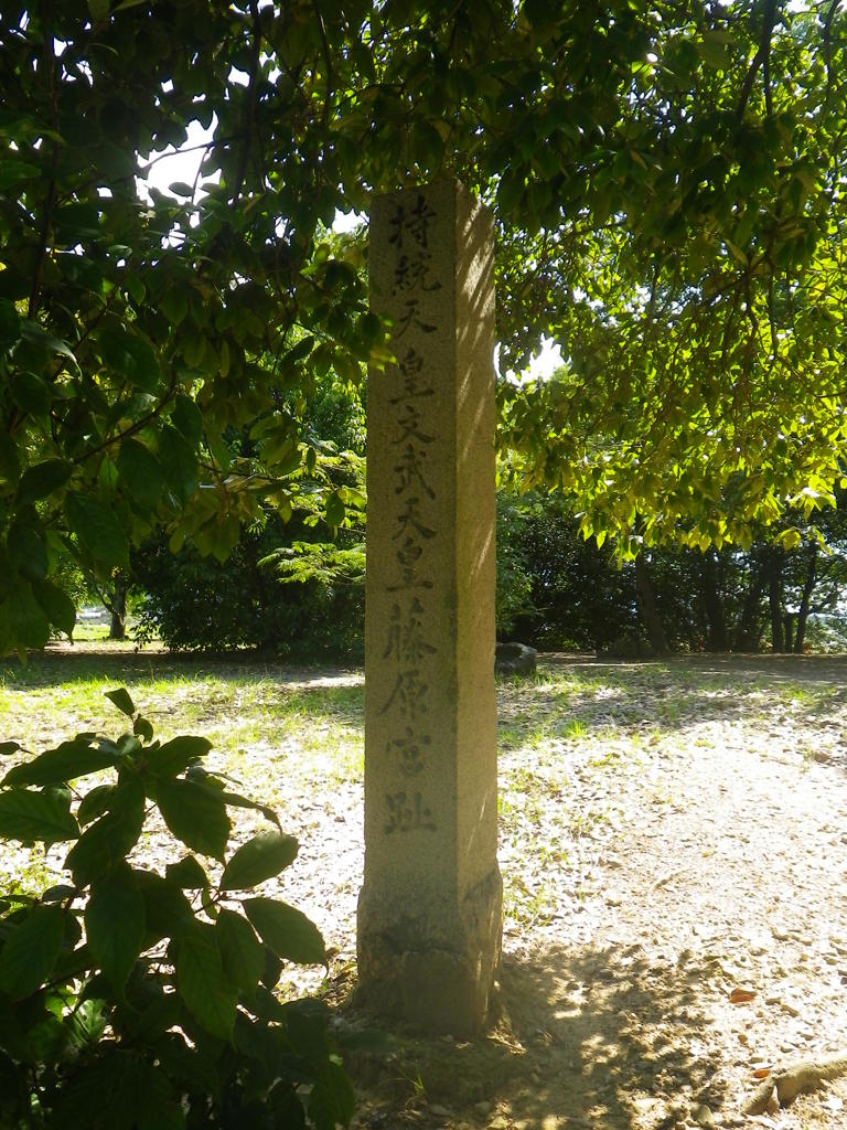 IMGP0031