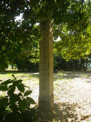 IMGP0031