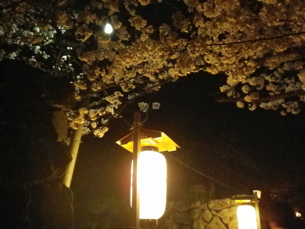 IMGP0328
