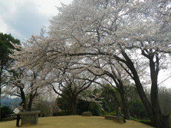IMGP0255