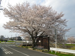 IMGP0295
