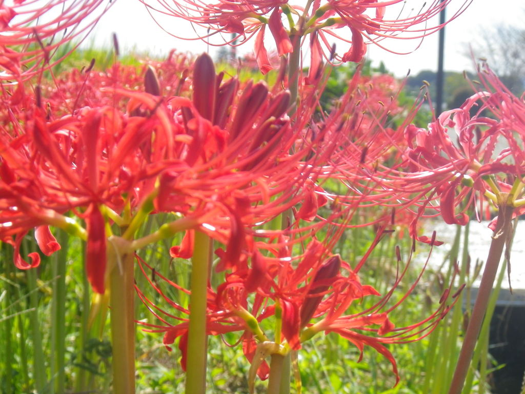 IMGP0035