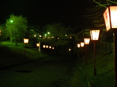 IMGP0336