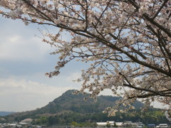 IMGP0237