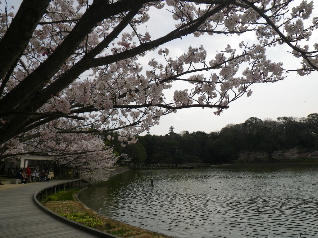 IMGP0300