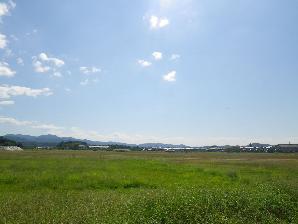 IMGP0032