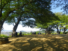 IMGP0055