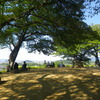 IMGP0055