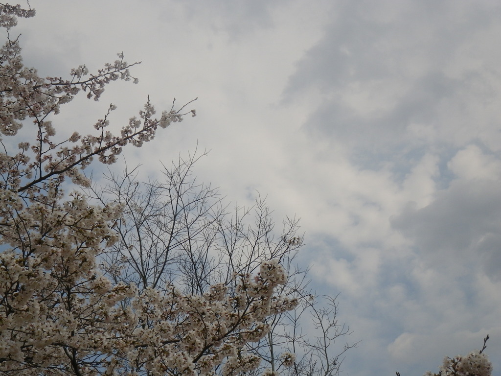 IMGP0257