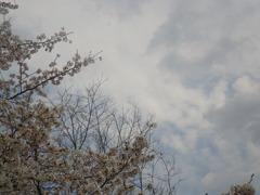 IMGP0257