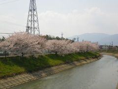 IMGP0235