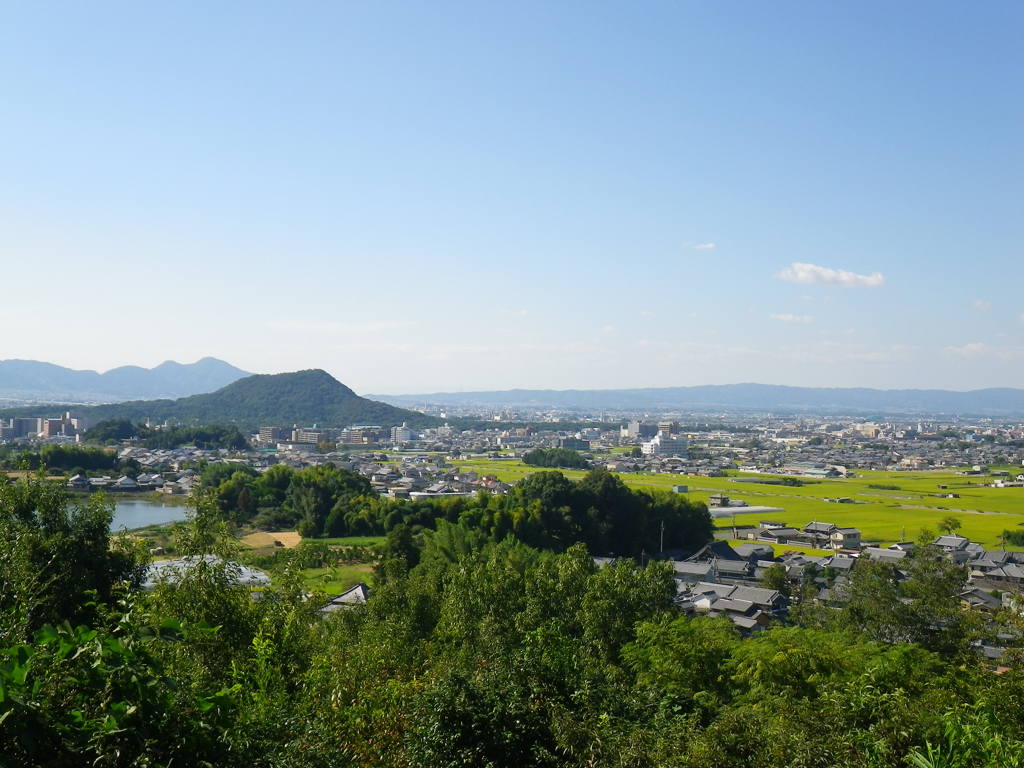 IMGP0056