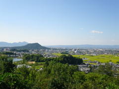 IMGP0056