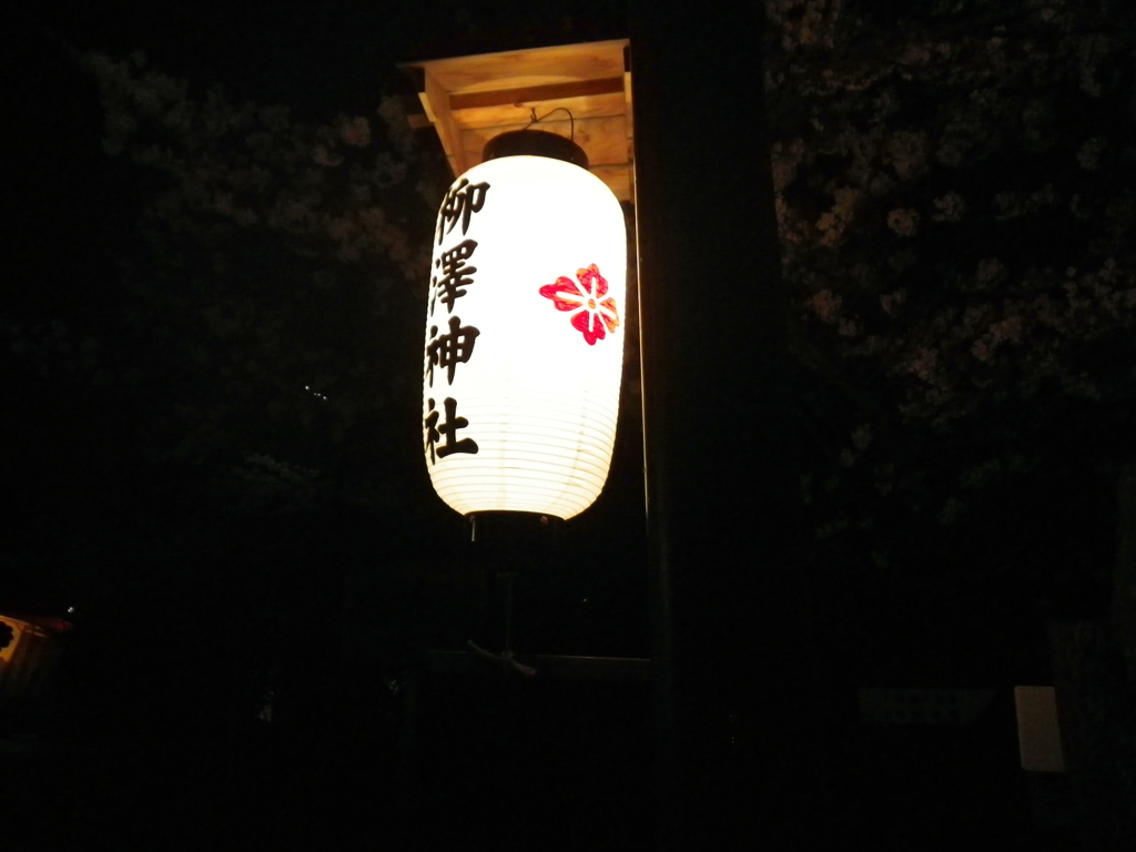 IMGP0315