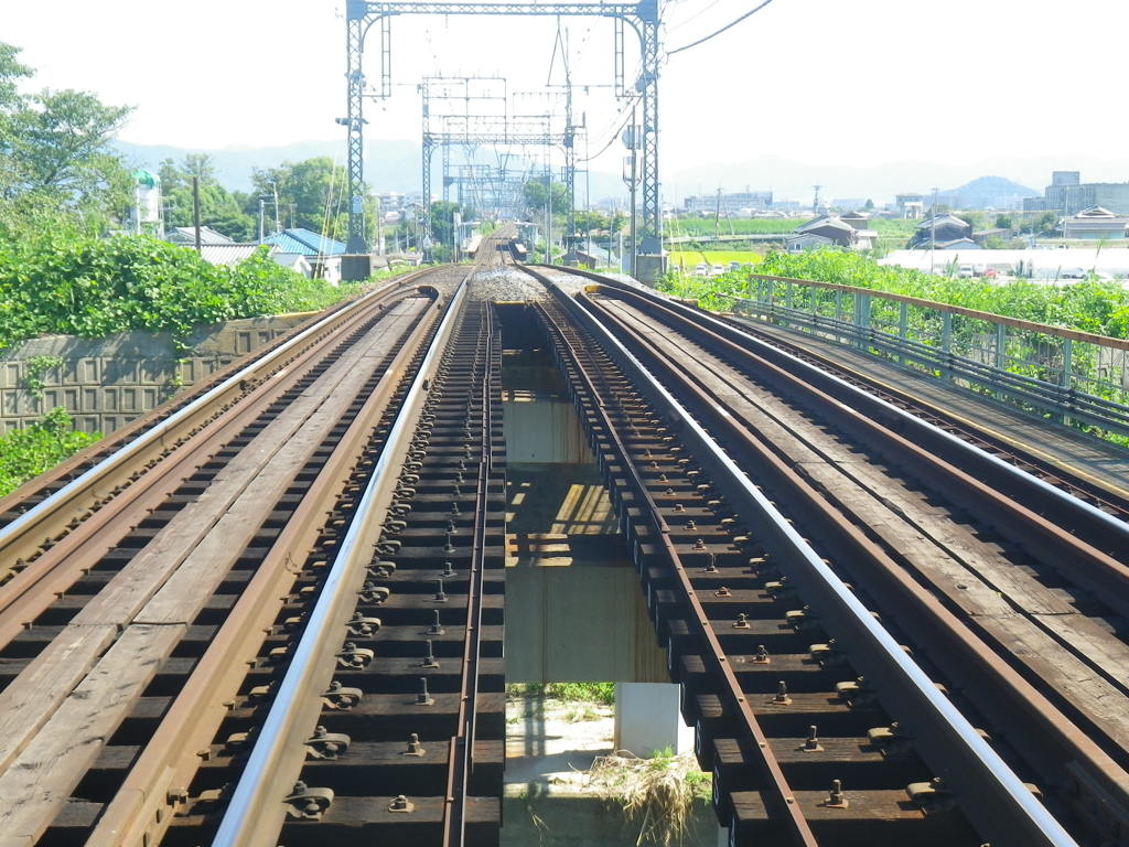 IMGP0020
