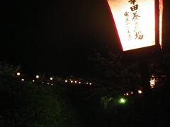 IMGP0334