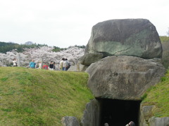 IMGP0284