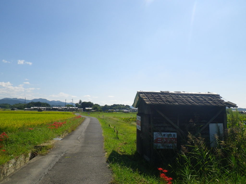 IMGP0042