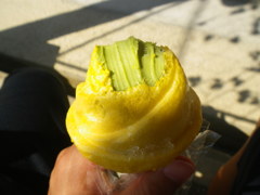 IMGP0051