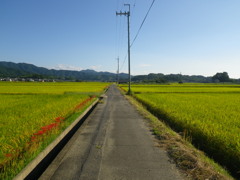 IMGP0070