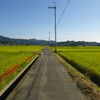 IMGP0070