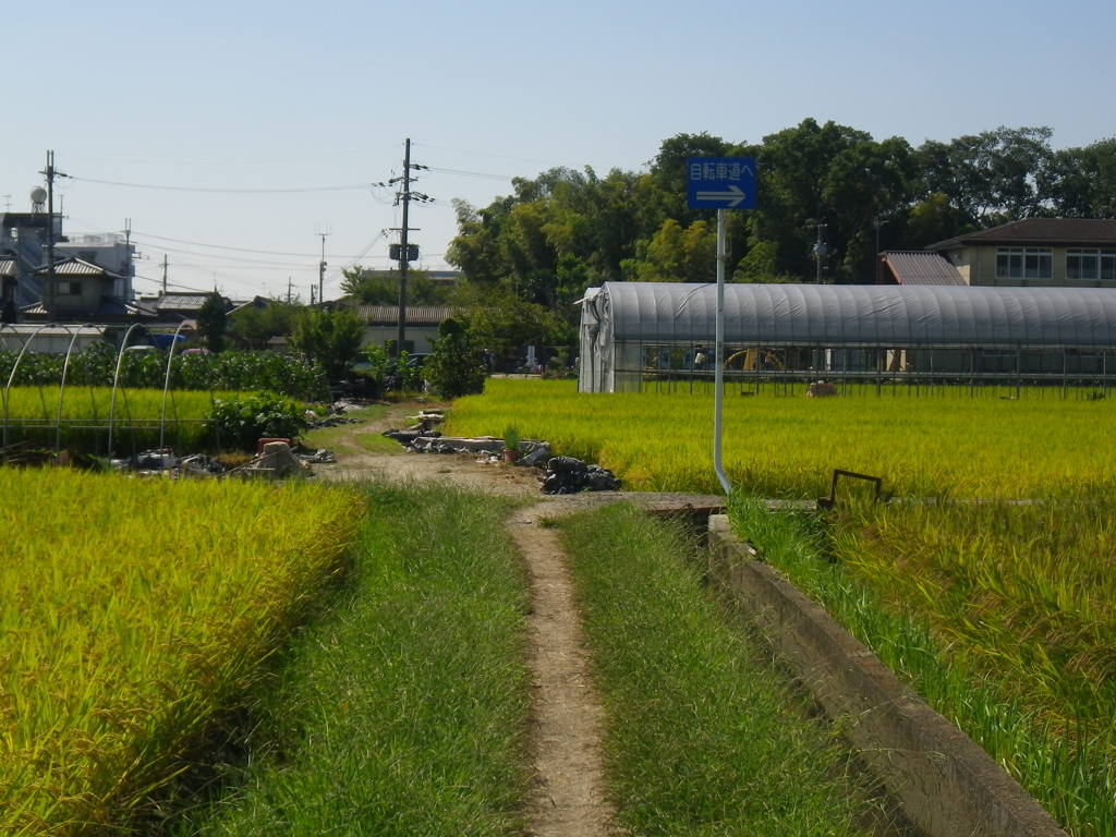 IMGP0007